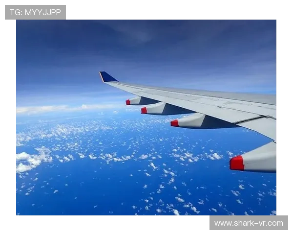 大阪刚在马尔代夫买岛，训练完直接坐直升机回家